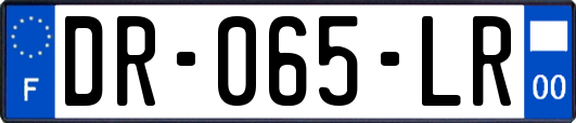 DR-065-LR