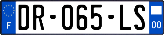DR-065-LS