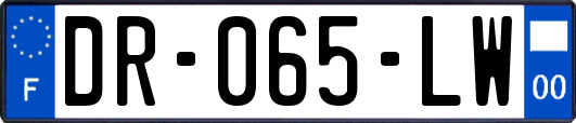 DR-065-LW