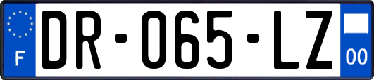 DR-065-LZ