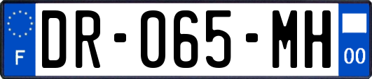 DR-065-MH