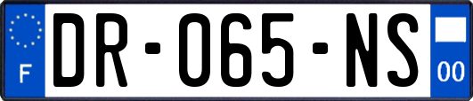 DR-065-NS