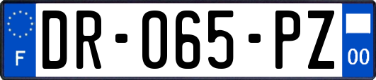 DR-065-PZ