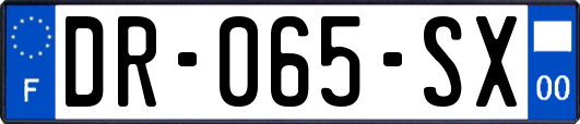 DR-065-SX