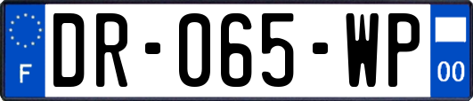 DR-065-WP