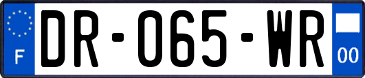 DR-065-WR