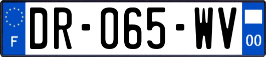 DR-065-WV