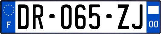 DR-065-ZJ