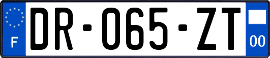 DR-065-ZT