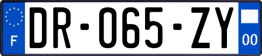 DR-065-ZY