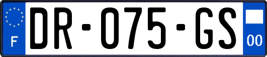 DR-075-GS