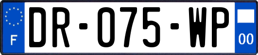 DR-075-WP