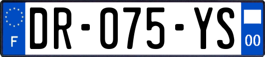 DR-075-YS