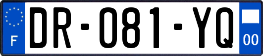 DR-081-YQ