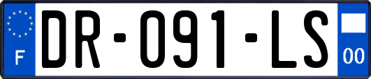 DR-091-LS