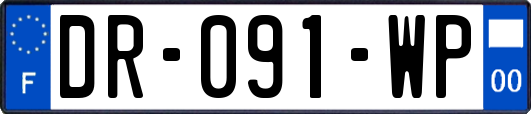 DR-091-WP