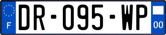 DR-095-WP