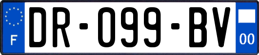 DR-099-BV