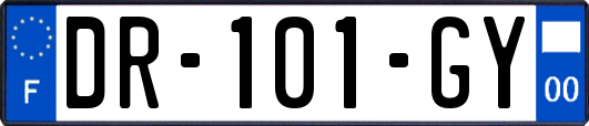DR-101-GY