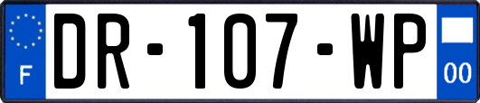 DR-107-WP