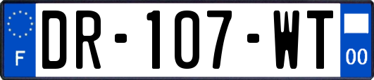 DR-107-WT