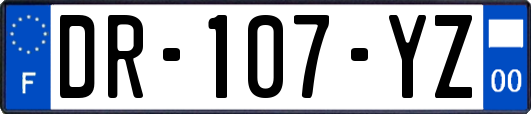 DR-107-YZ