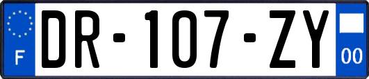 DR-107-ZY