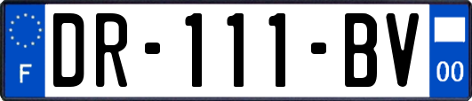 DR-111-BV