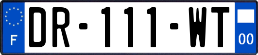 DR-111-WT