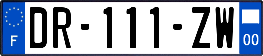 DR-111-ZW