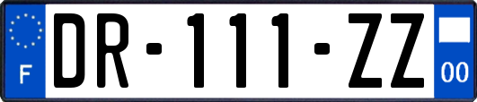 DR-111-ZZ