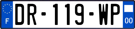 DR-119-WP