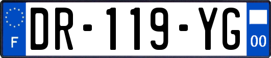 DR-119-YG