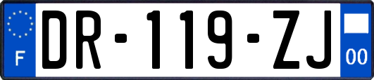 DR-119-ZJ