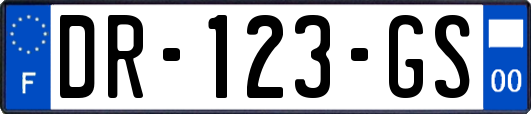 DR-123-GS
