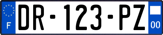 DR-123-PZ