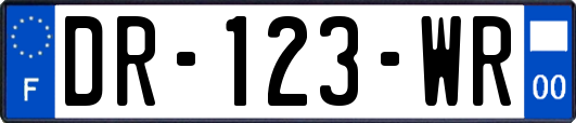 DR-123-WR