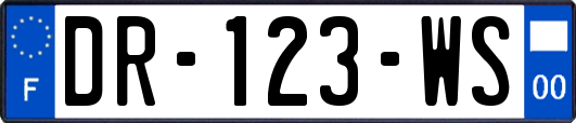 DR-123-WS