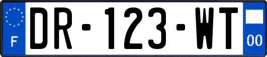 DR-123-WT