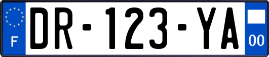 DR-123-YA