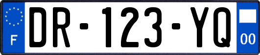 DR-123-YQ