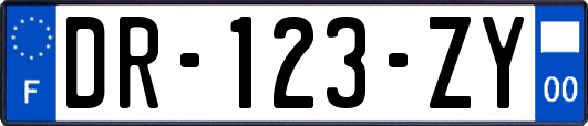 DR-123-ZY