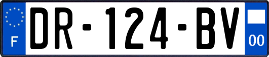 DR-124-BV