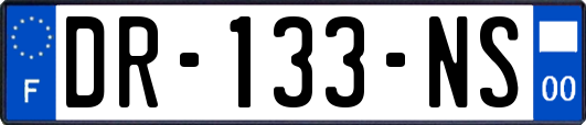 DR-133-NS