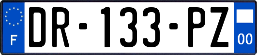 DR-133-PZ