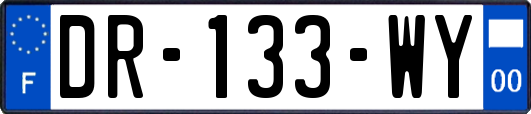 DR-133-WY