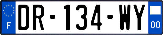 DR-134-WY