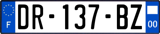 DR-137-BZ