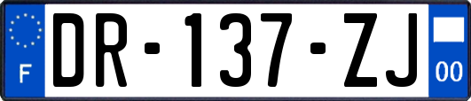 DR-137-ZJ