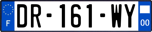 DR-161-WY